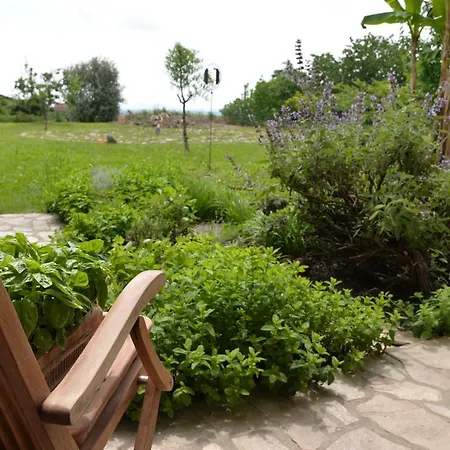 Le Ali Del Falco Hotel 3*